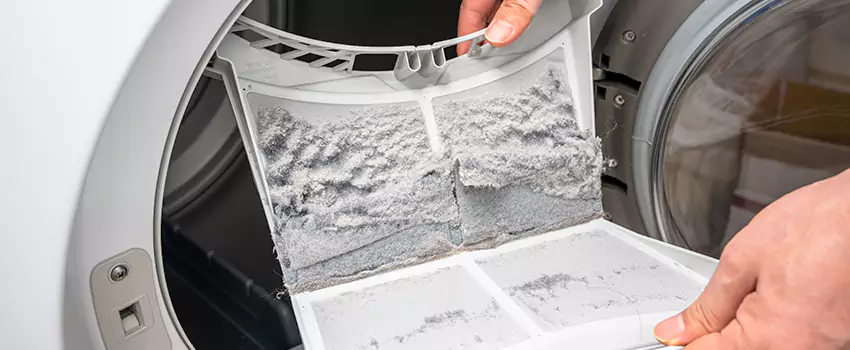 Best Dryer Lint Removal Company in Escondido, California