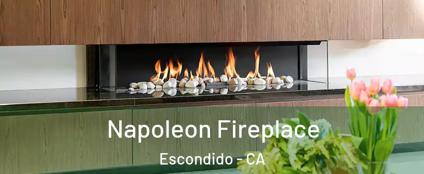 Napoleon Fireplace Escondido - CA